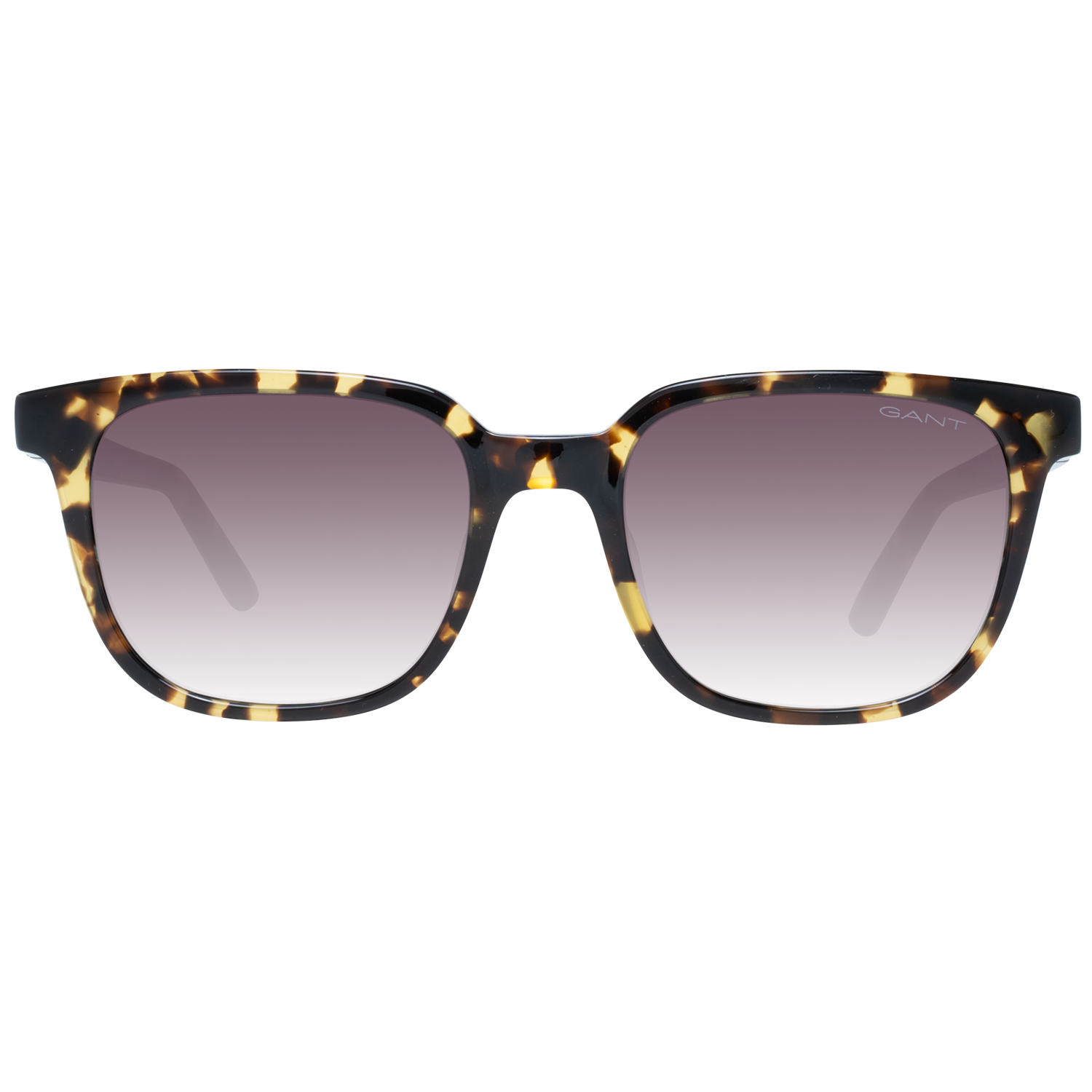 Gant Brown Men Sunglasses