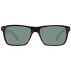 Ted Baker Brown Men Sunglasses