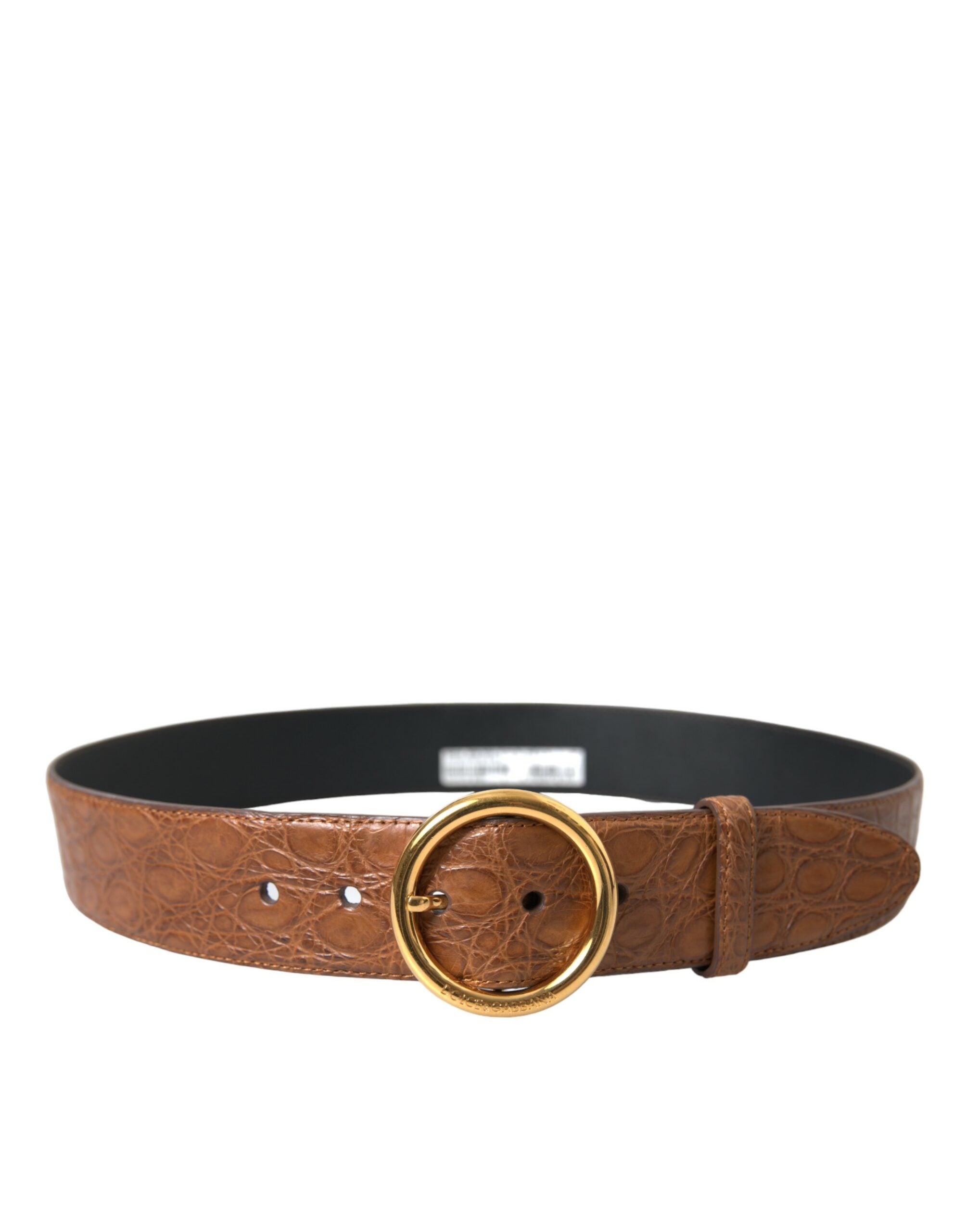 Ceinture élégante en cuir exotique Dolce & Gabbana - Marron foncé