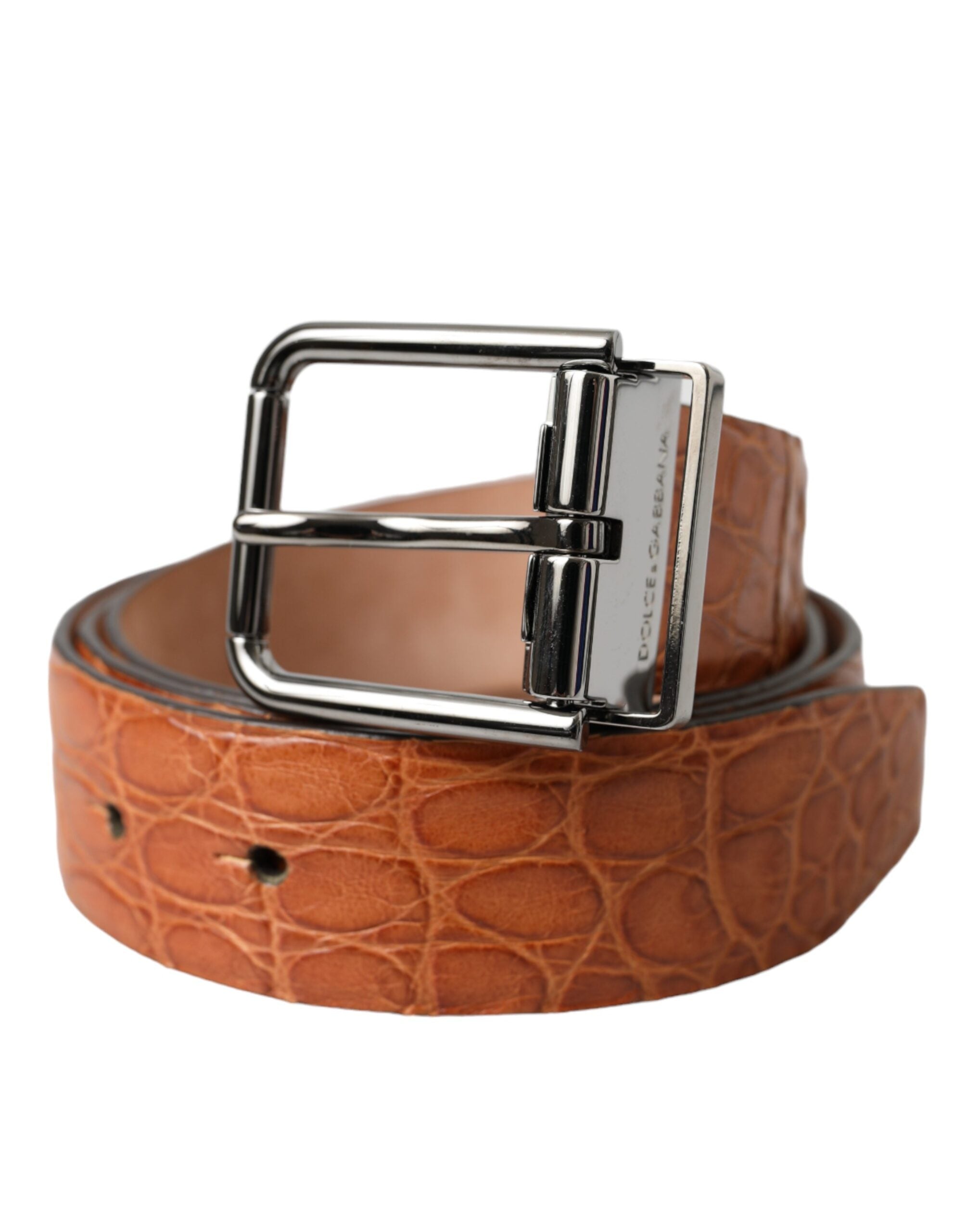 Ceinture en cuir exotique marron Dolce & Gabbana avec boucle en métal argenté