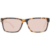 Lunettes de soleil Guess Brown pour hommes