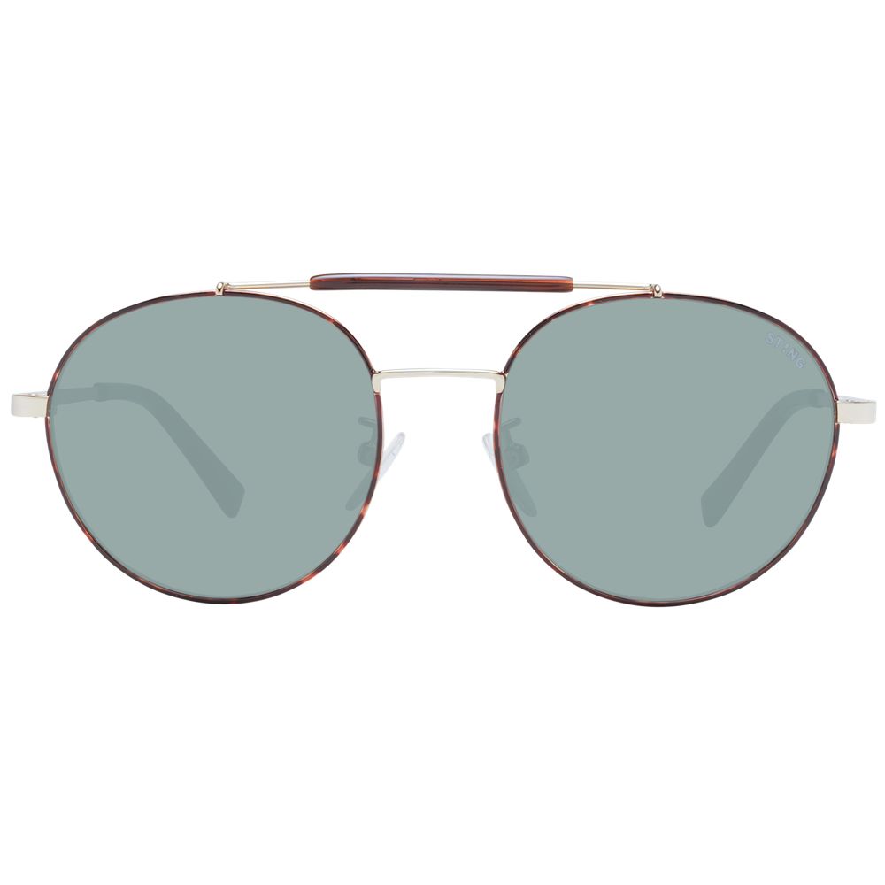 Lunettes de soleil pour hommes Sting Brown