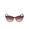 Lacoste Brown Injected Sunglasses